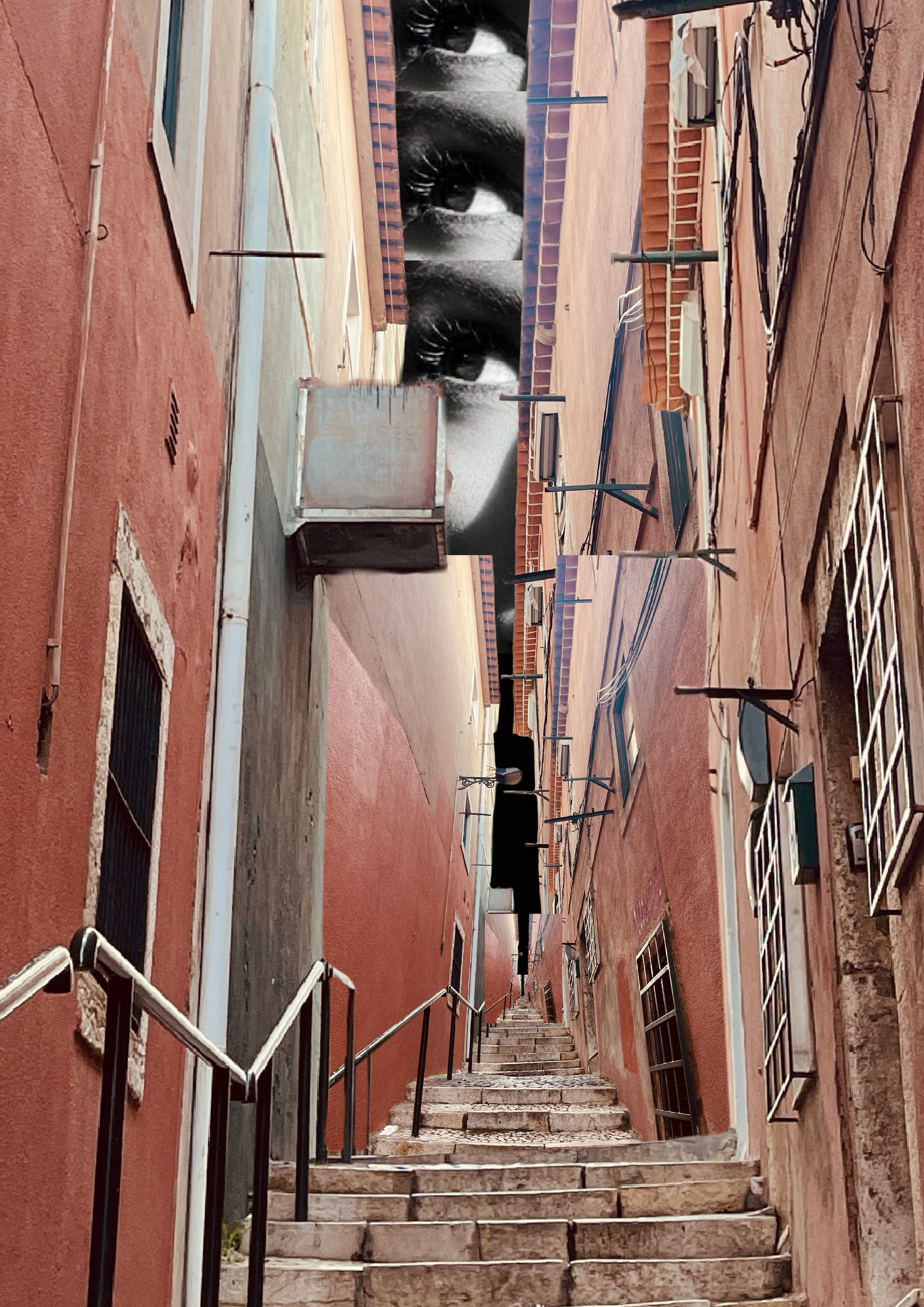 IMG_2330.PNG