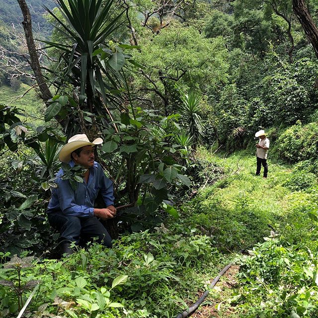 Shooting in the coffee farms of San Jos&eacute; Pinula