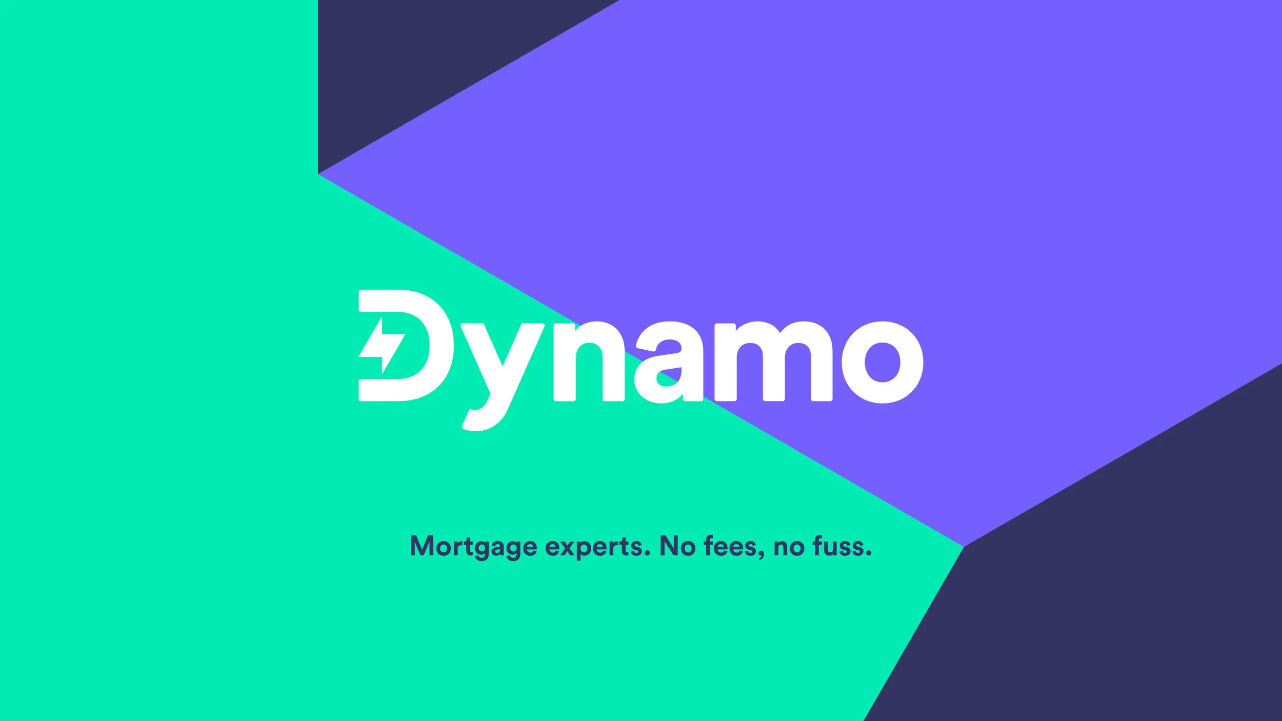 Dynamo-Case.jpg