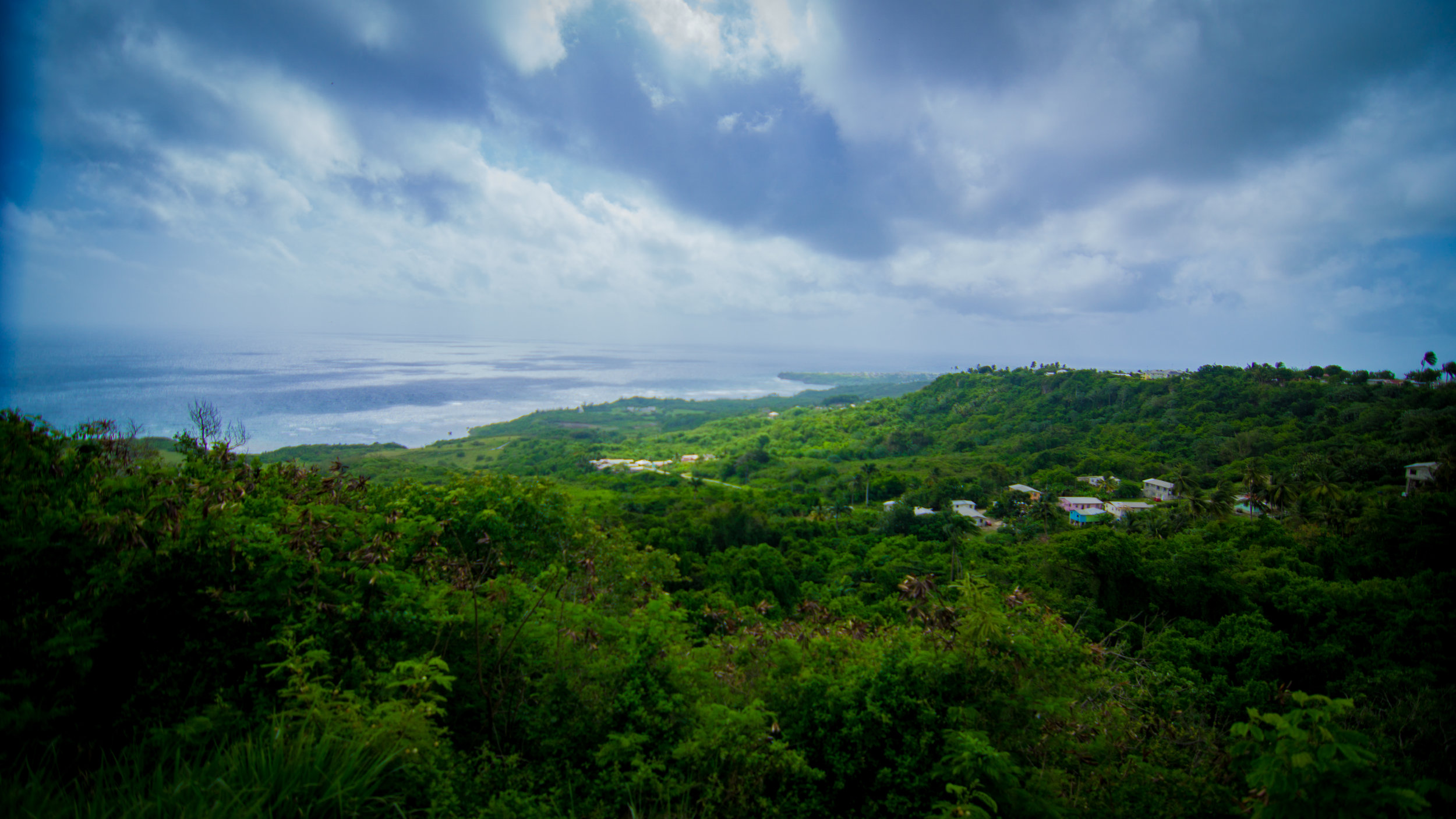 Carribbean View
