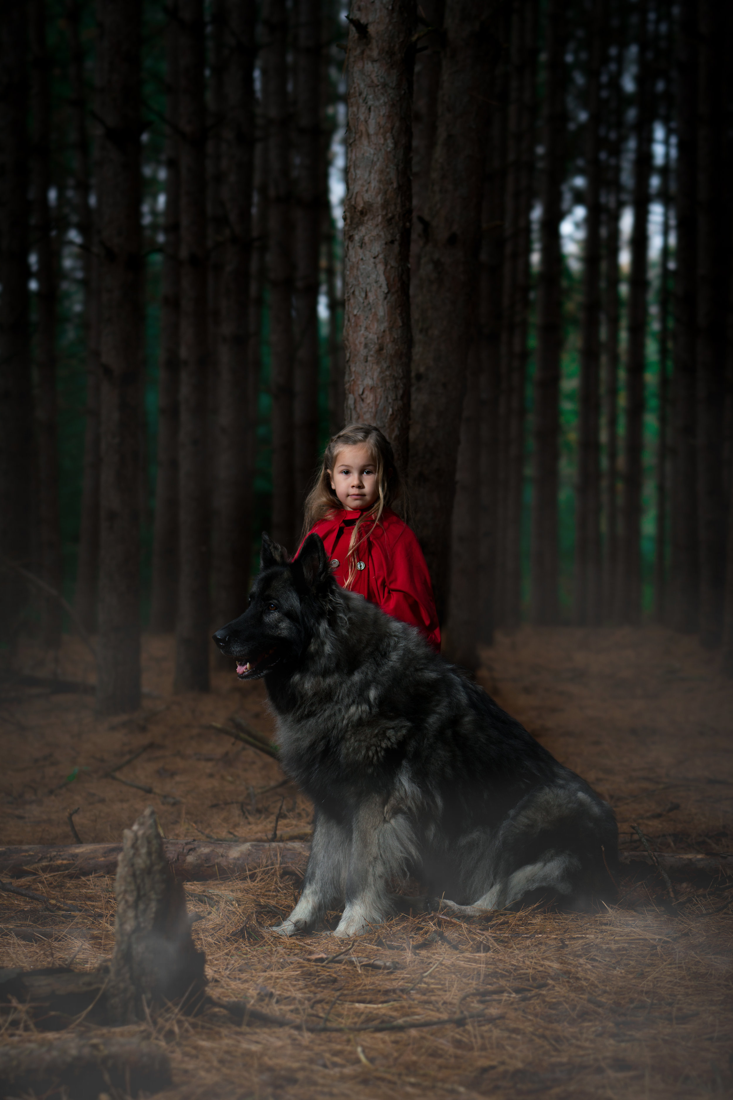 Little Red Riding Hood