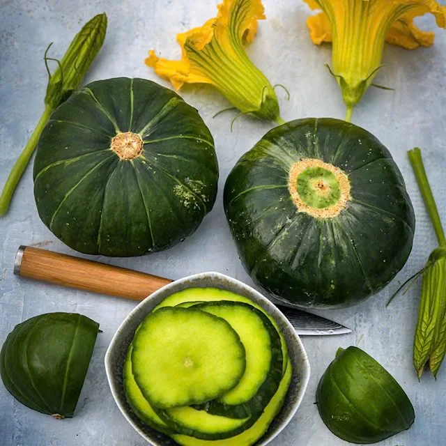 Zapallito Del Tronco