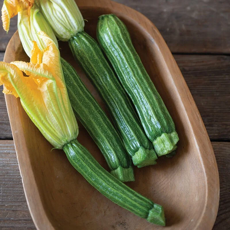 'Sophy' romanesco zucchini