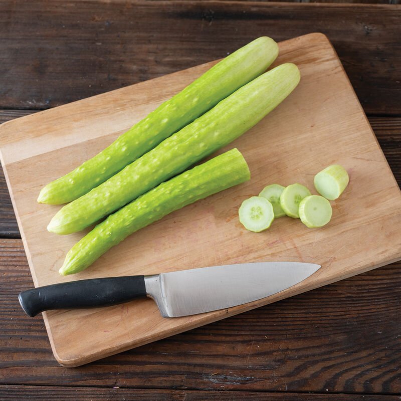 'Margarita' Japanese type cucumber