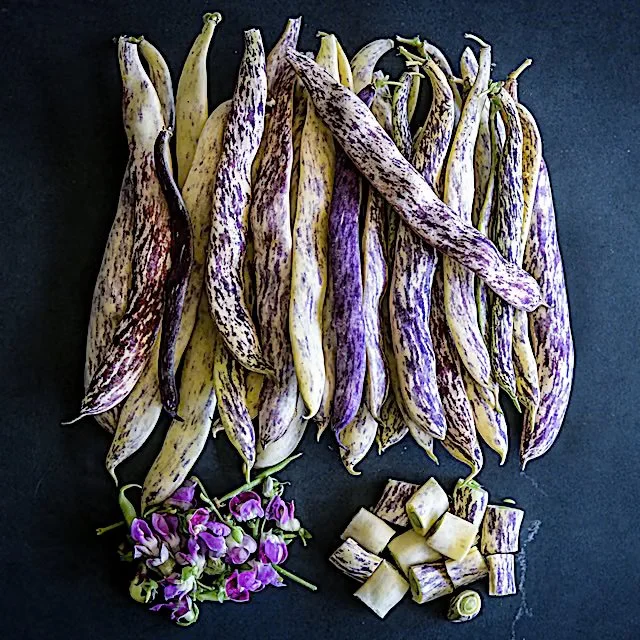 Dragon Tongue