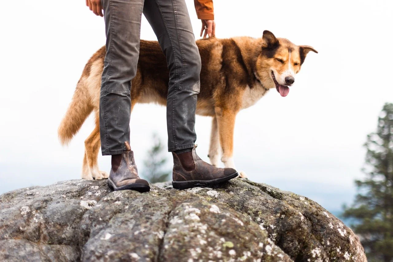 Blundstone-Wolf-37 Large.jpeg