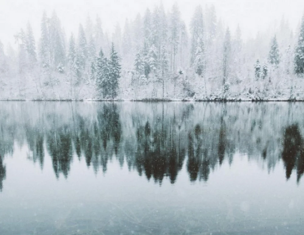 winter inspiration a christmas palate cleanser house of valentina