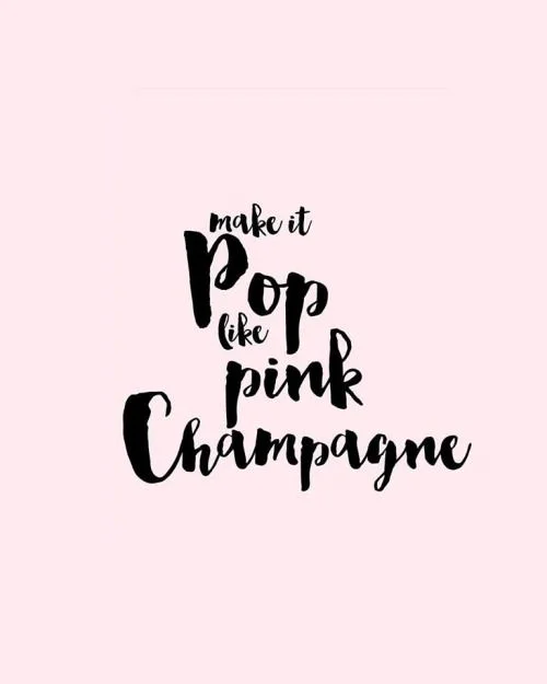 Rose S Il Vous Plait House Of Valentina