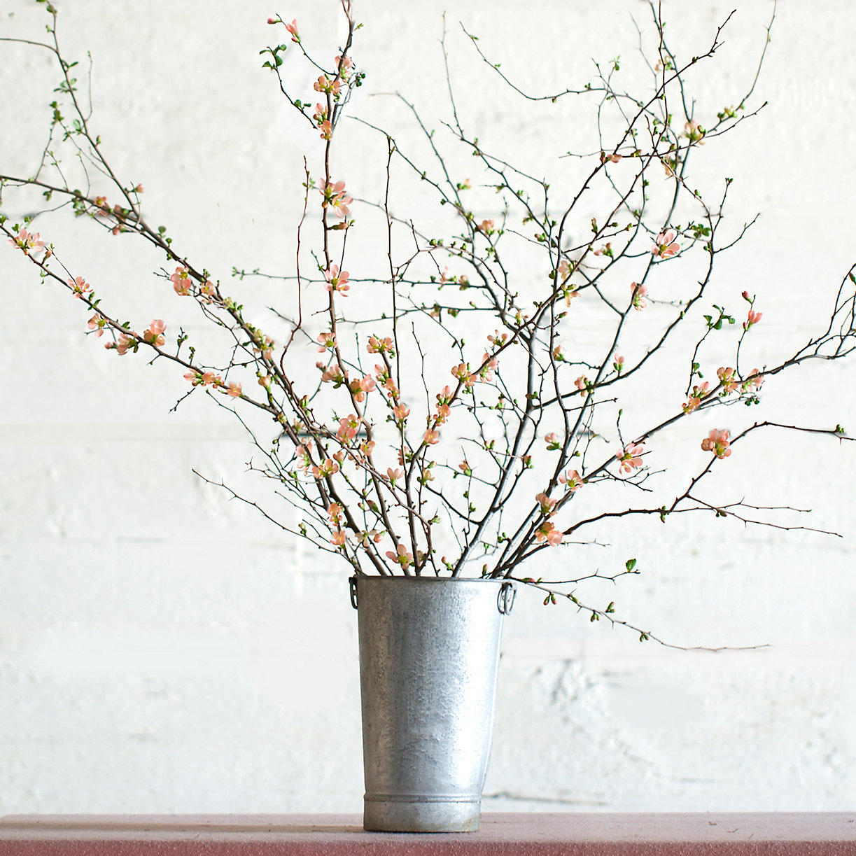 Quince Branches $58