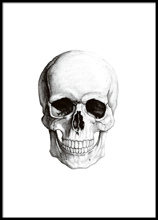Skull print