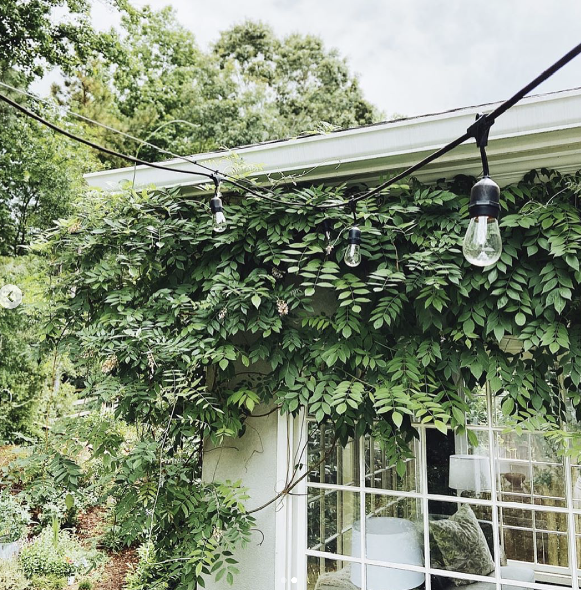 Hang Your Garden Lights - It’s so easy!