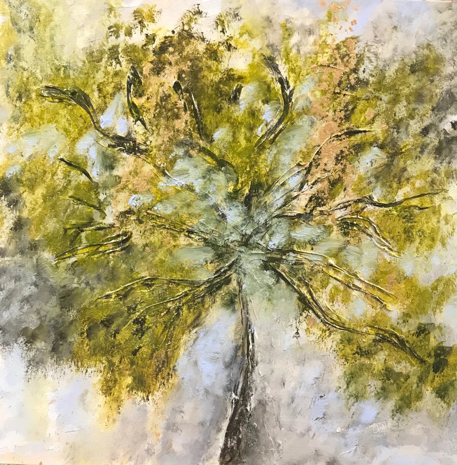 Wassaw Beach Oak 24x24 acrylic on canvas $575