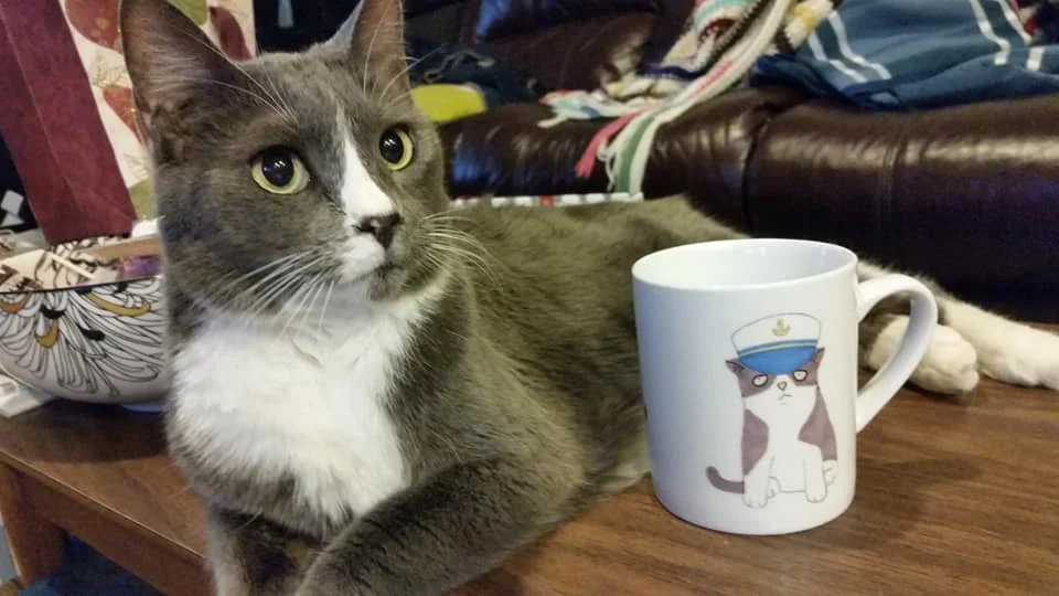 Stanley and Stanley in mug form