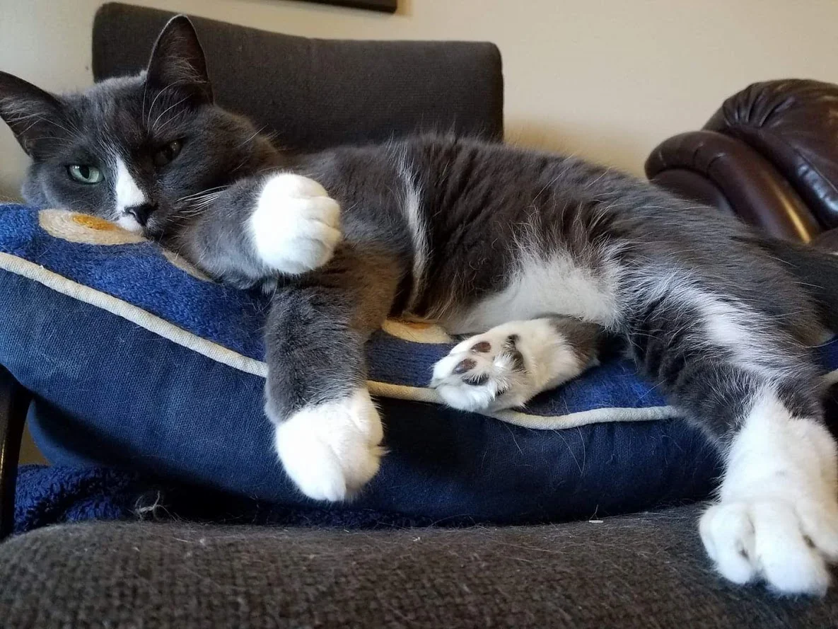 Rest in peace, buddy.