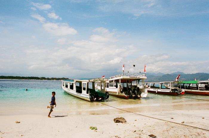 large_44600012.jpg