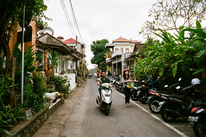 large_44590030.jpg