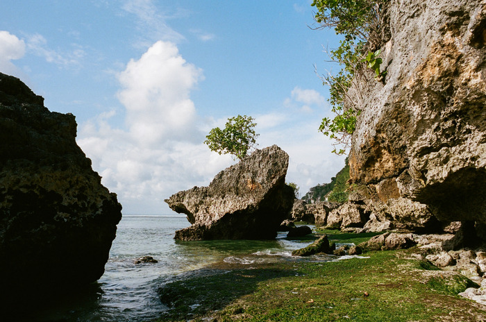 large_44590015.jpg