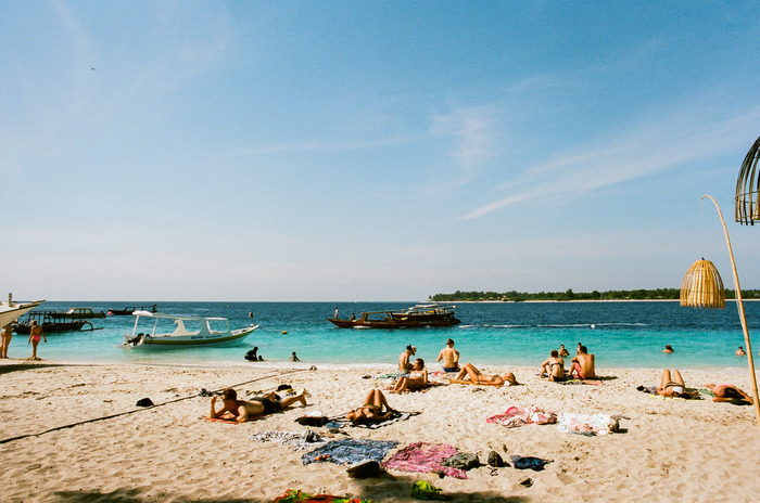 large_44600006.jpg