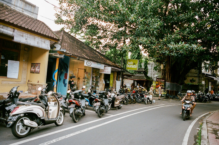large_44590031-2.jpg