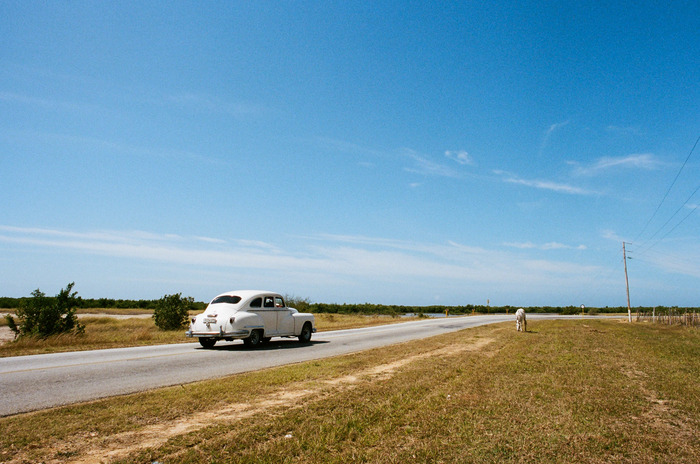large_Cuba_Culled__042_of_053_.jpg