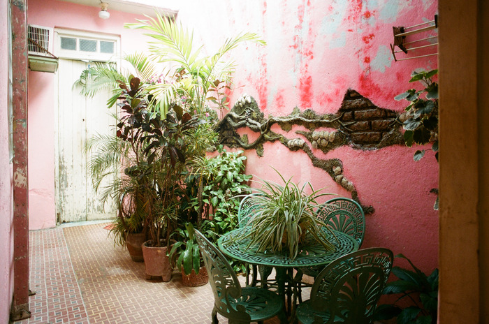 large_Cuba_Culled__035_of_053_.jpg