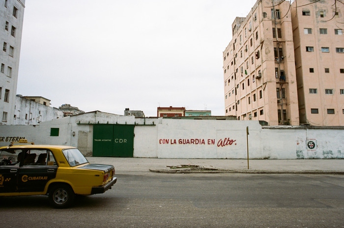 large_Cuba_Culled__024_of_053_.jpg