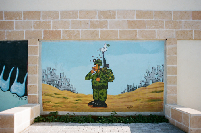 large_Cuba_Culled__040_of_053_.jpg