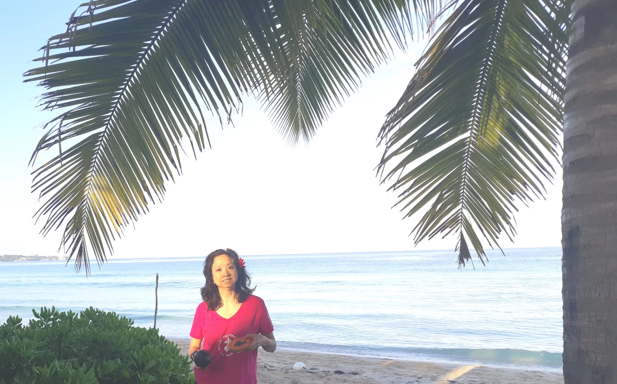 J.A.+Papaya+Palm+Tree.jpg