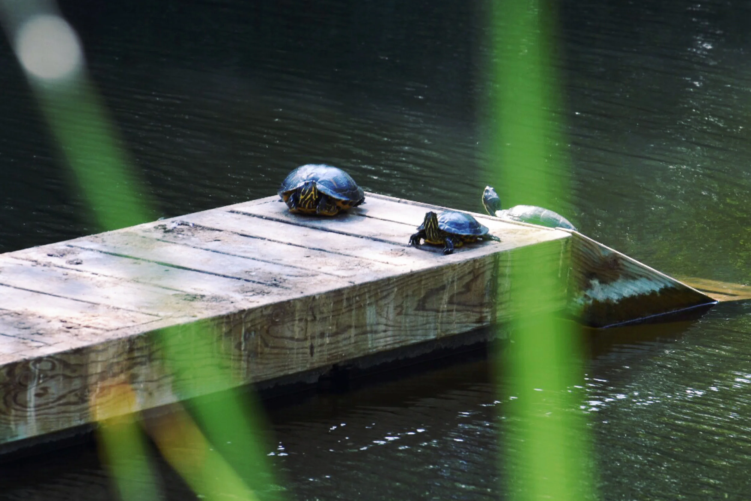 Photo Jun 03, 21 21 29.jpg