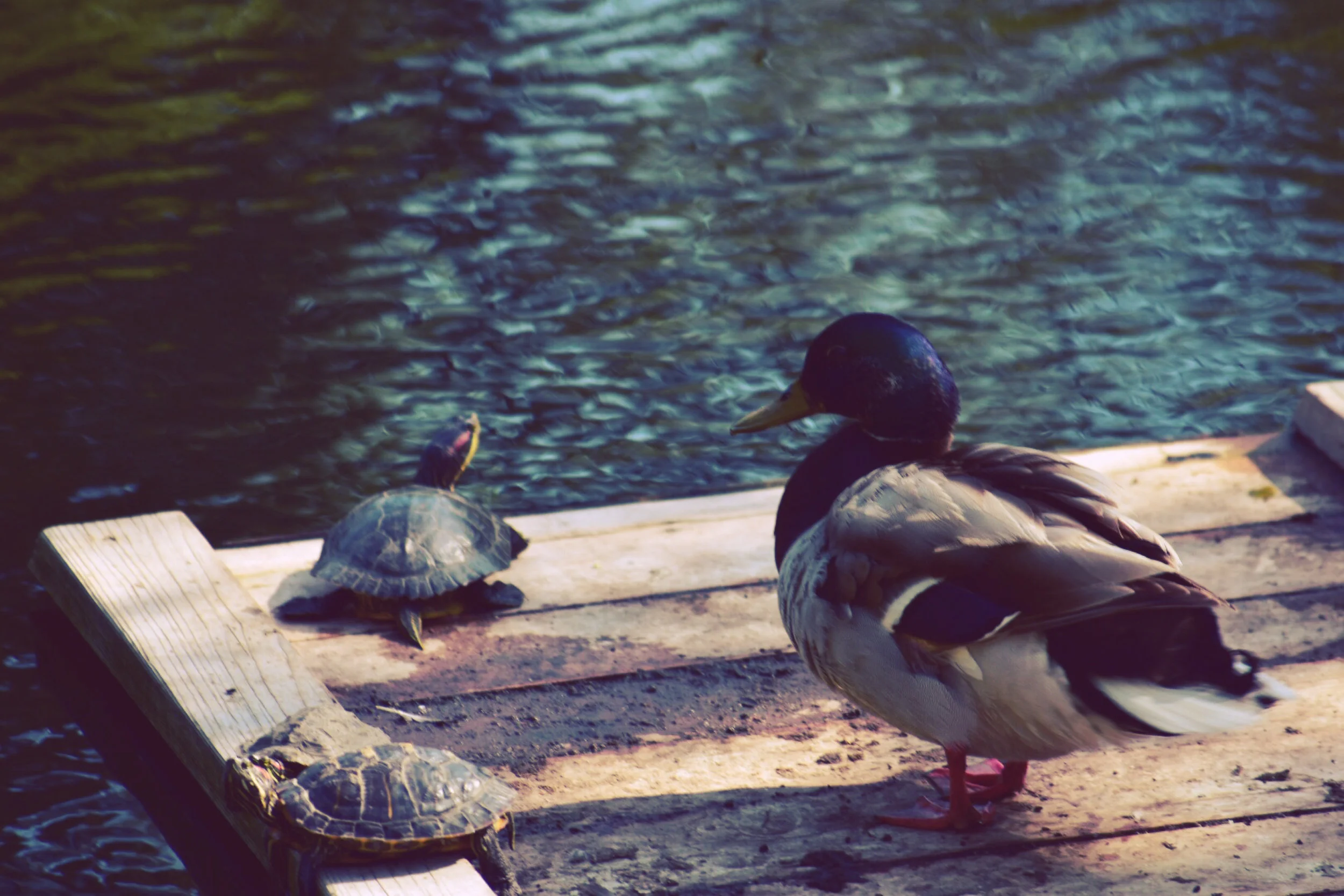 Photo Jun 03, 21 36 31.jpg