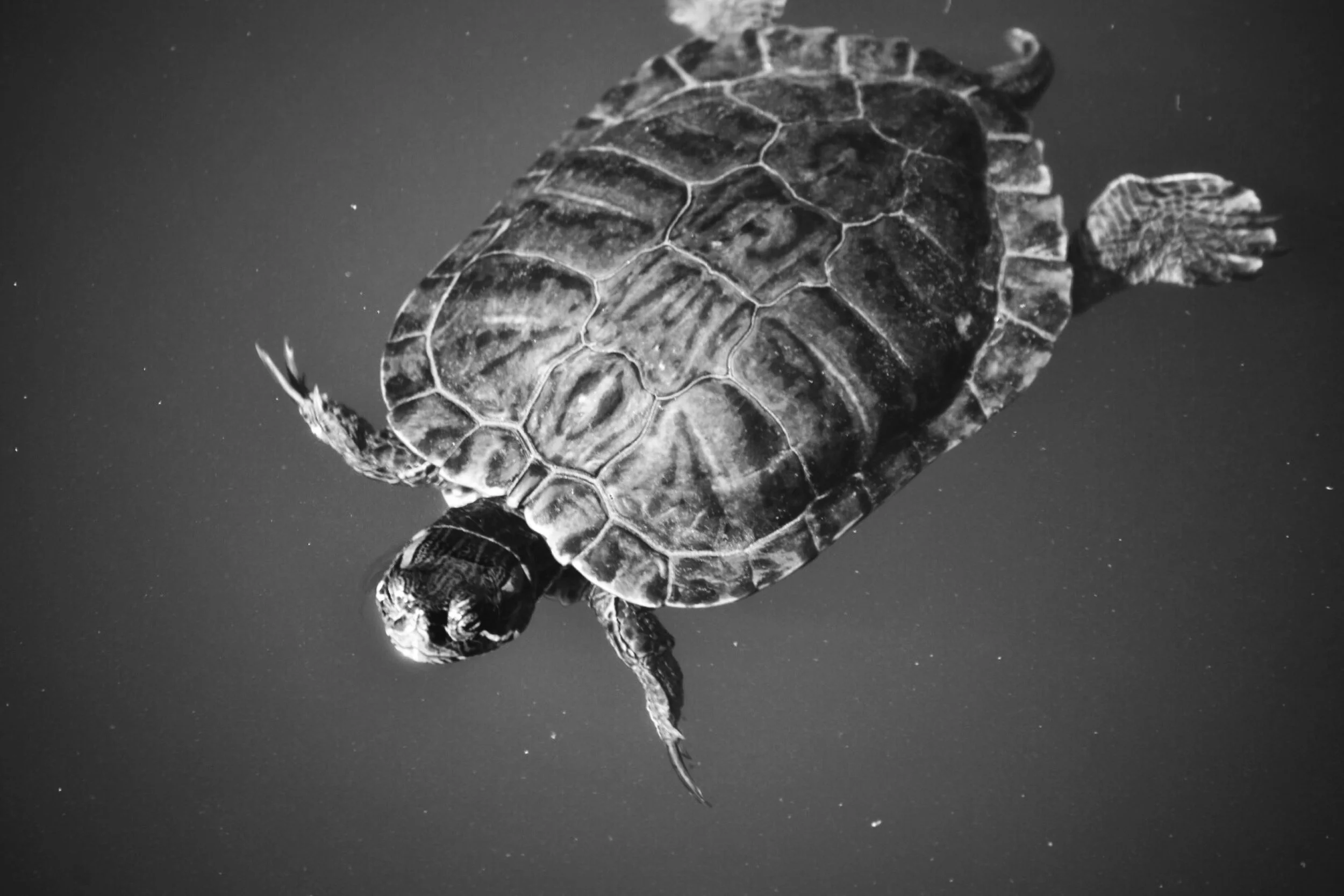 Photo Jun 03, 21 27 51.jpg