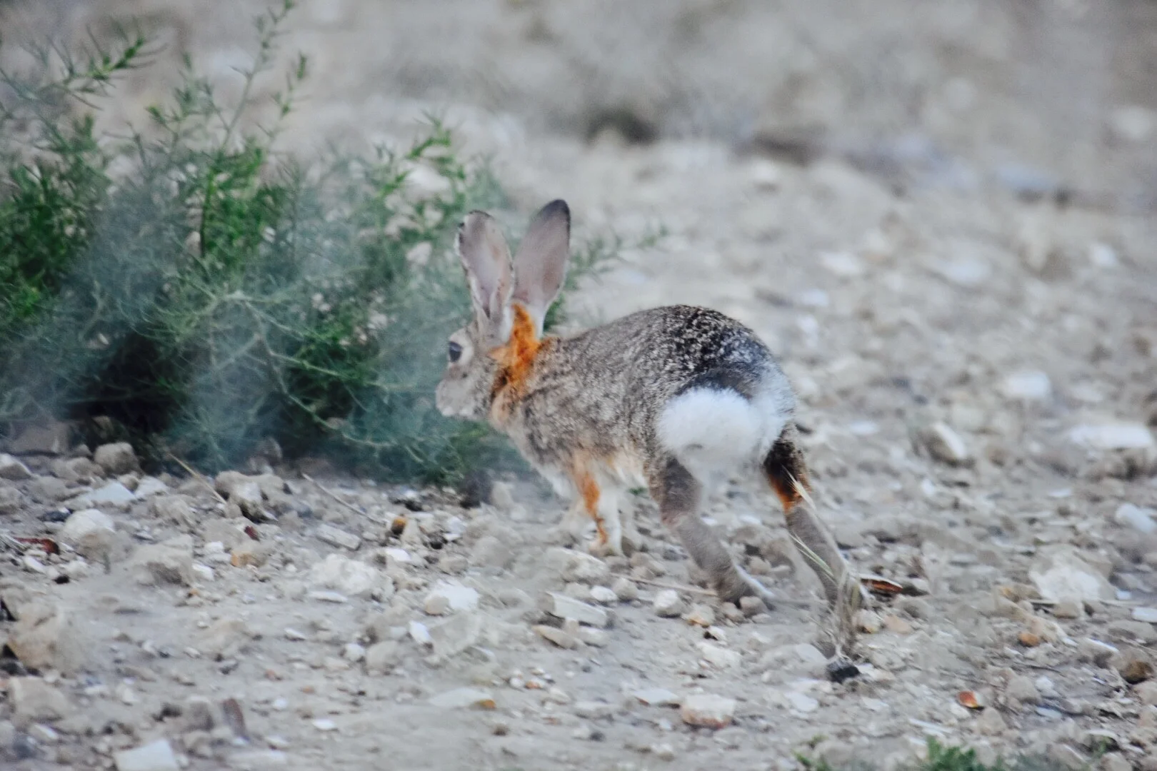 Photo Jun 11, 19 40 21.jpg