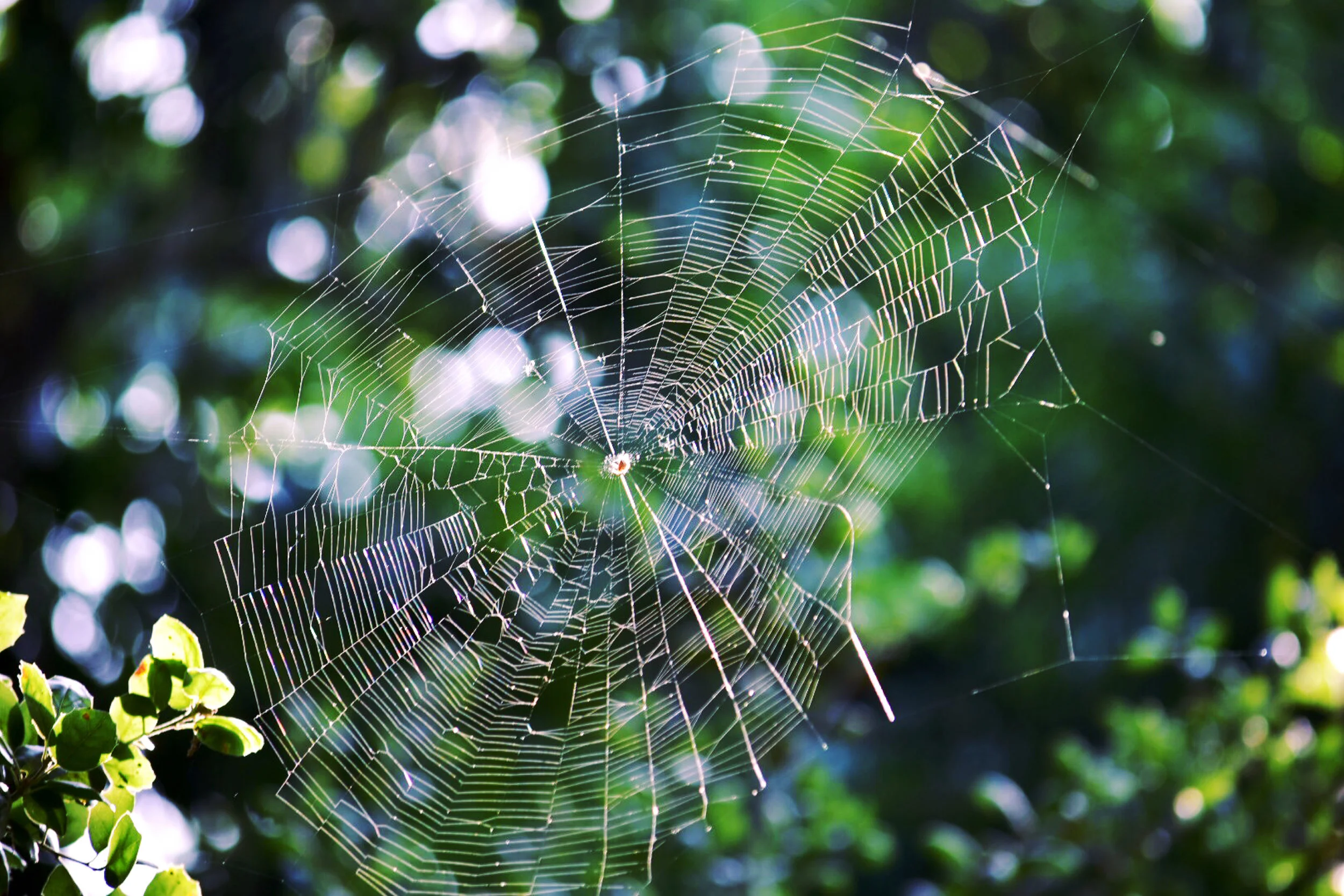 Photo Jun 03, 22 03 57.jpg