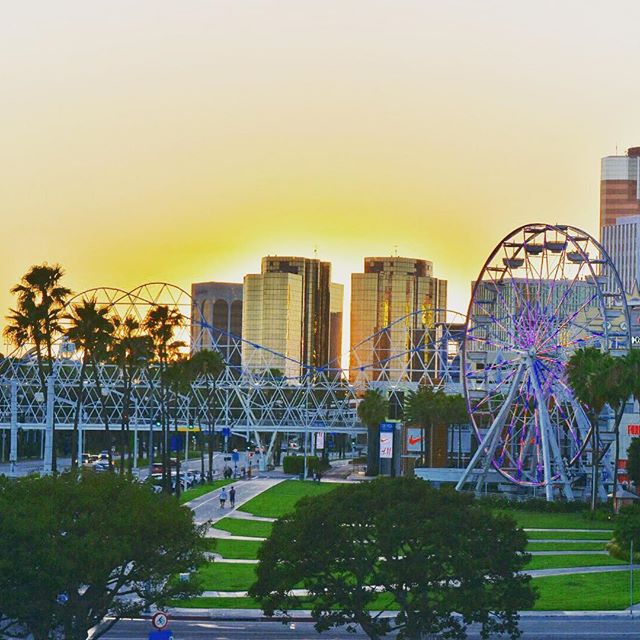 Relocated back to Long Beach!🌊🤙🏼It&rsquo;s July, it&rsquo;s summer, it&rsquo;s hot!🌇🌴
&bull;
&bull;
#longbeach #lbc #losangeles #summer18 #nikon #nikonphotography #nikon7200 #nikonusa #nikkorlens #vrlens #dslr #dslrtechnology #iso #abc7eyewitnes