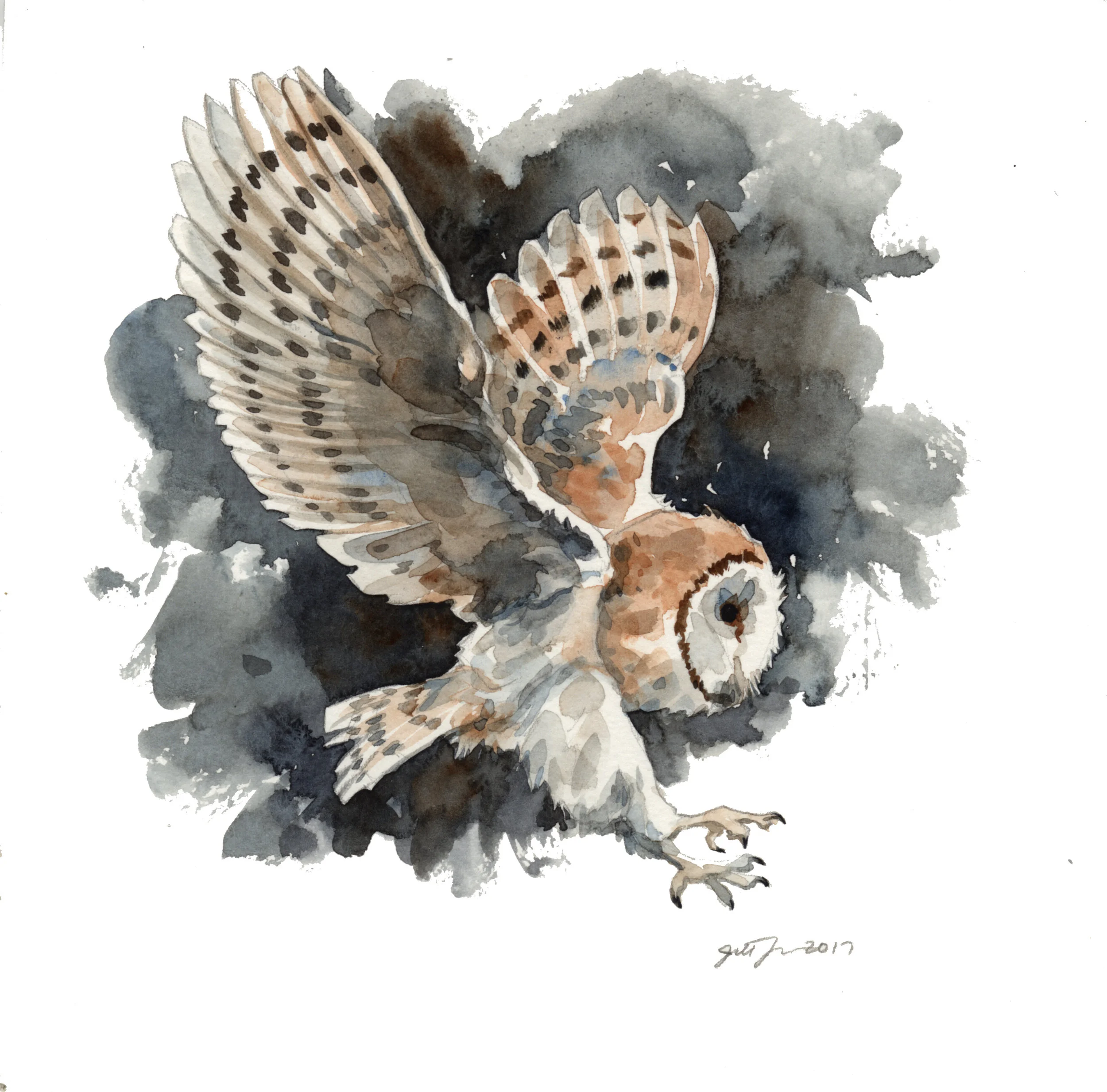 2018barnOwlFlying.jpg