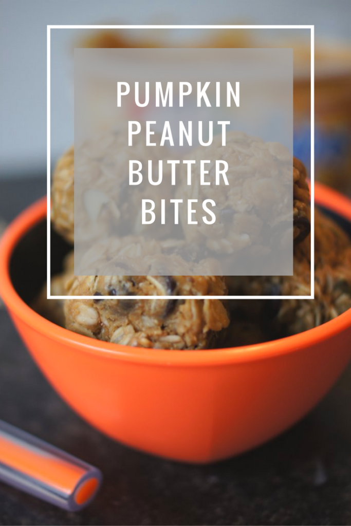 Healthy Peanut Butter Bites
