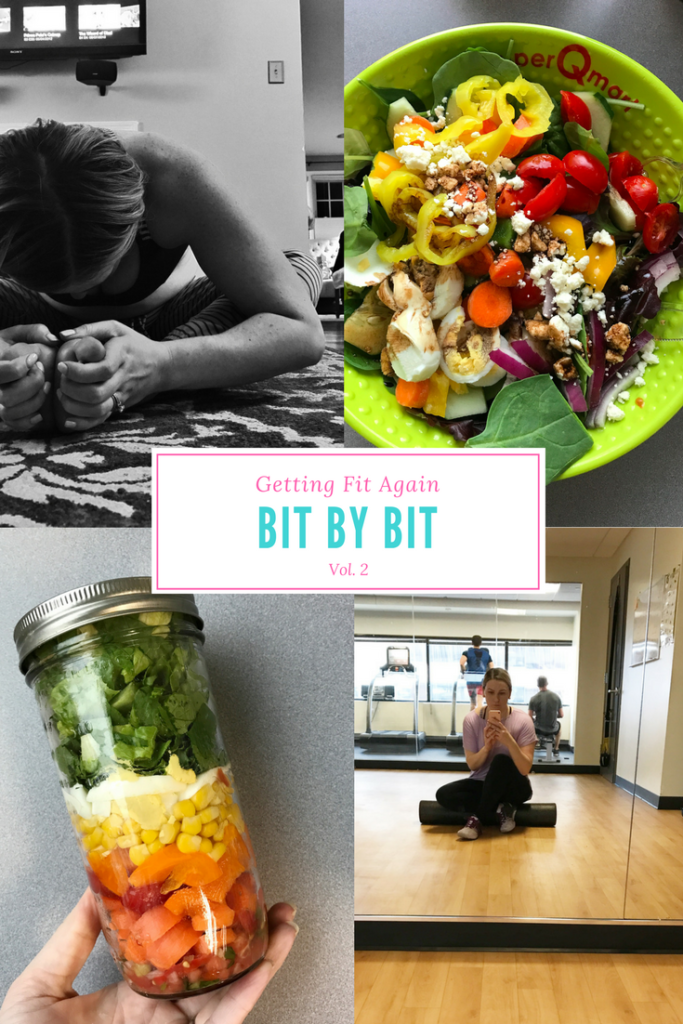 Fit Bit by Bit Vol. 2