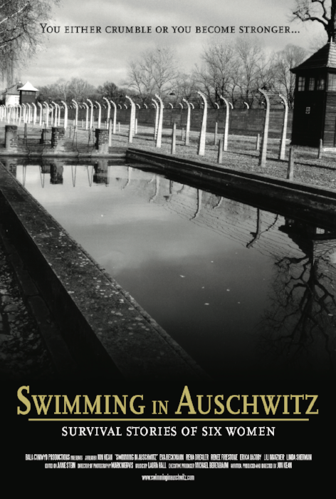 auschwitz poster.png