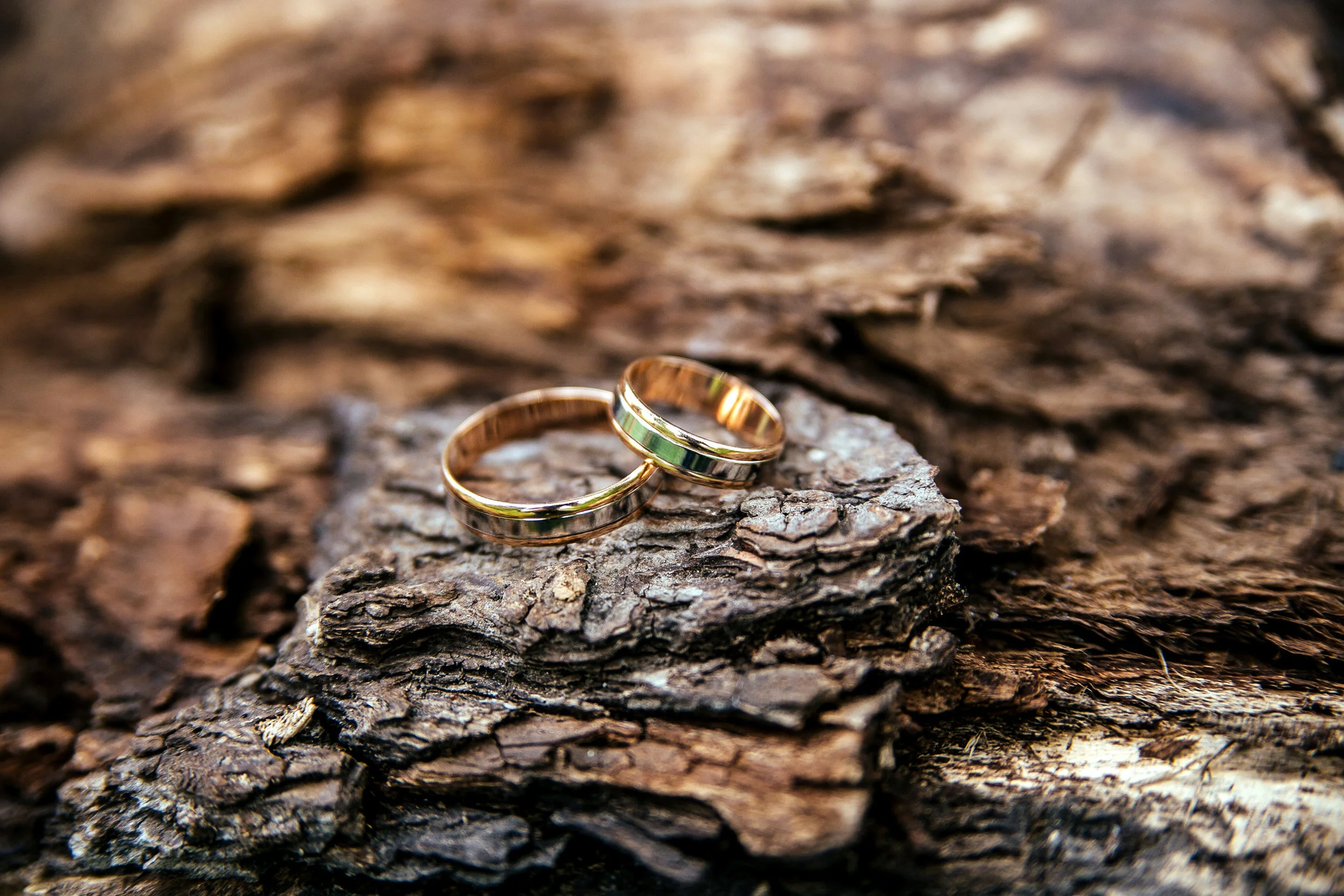 Wedding rings on wooden surface..