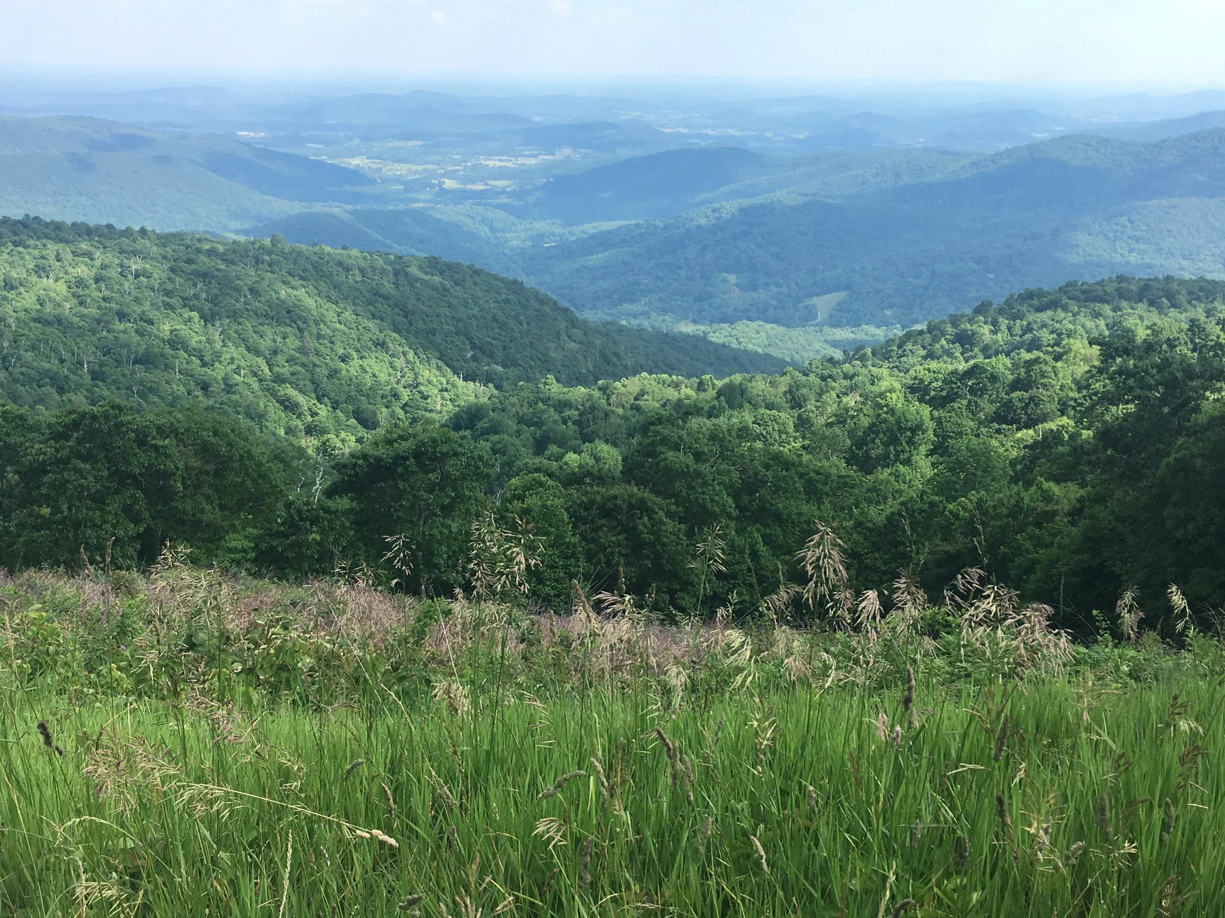 Shenandoah National Park The Lush Backyard of the DMV — Roaming Here