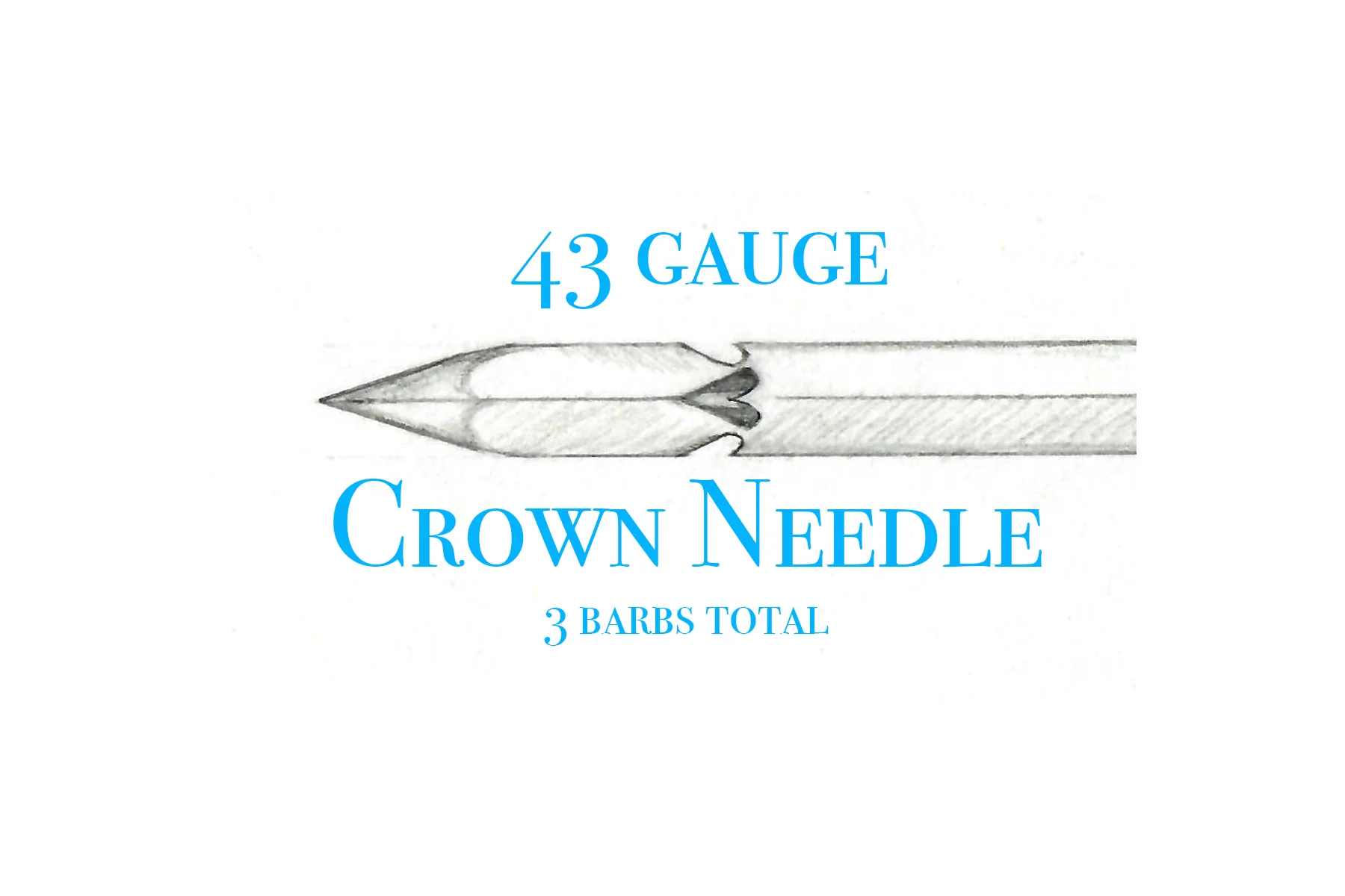 43gCrown.jpg
