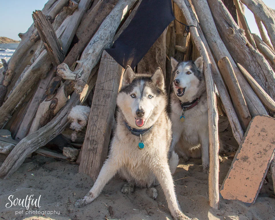 TeePee.jpg