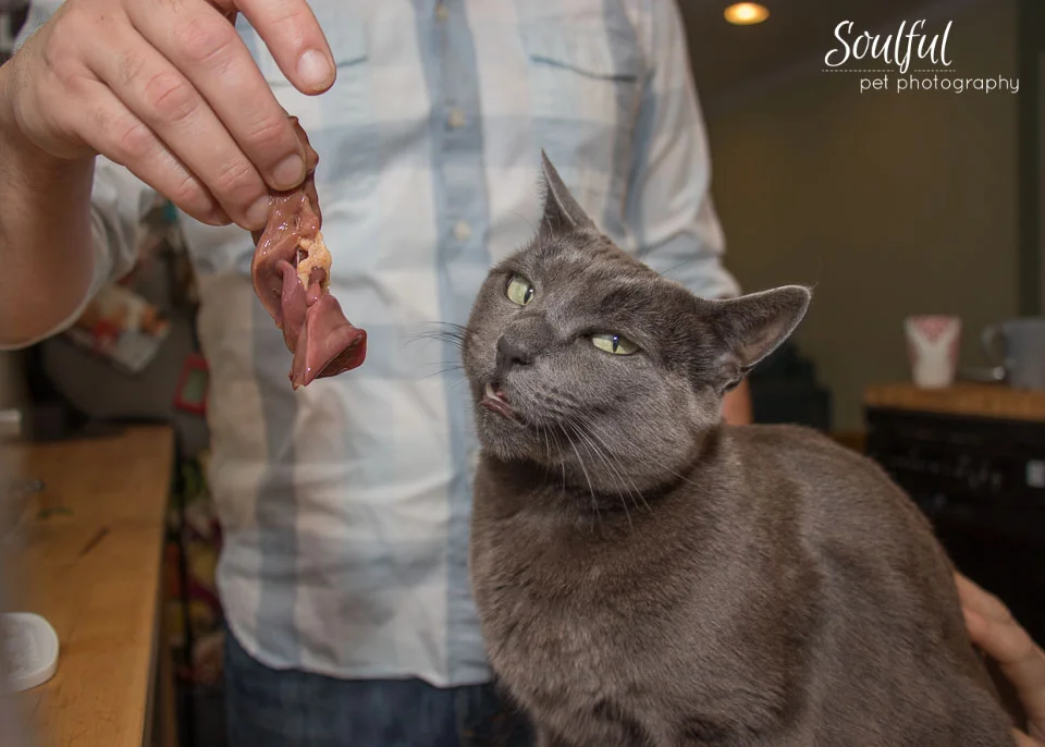 Boo quality control.jpg