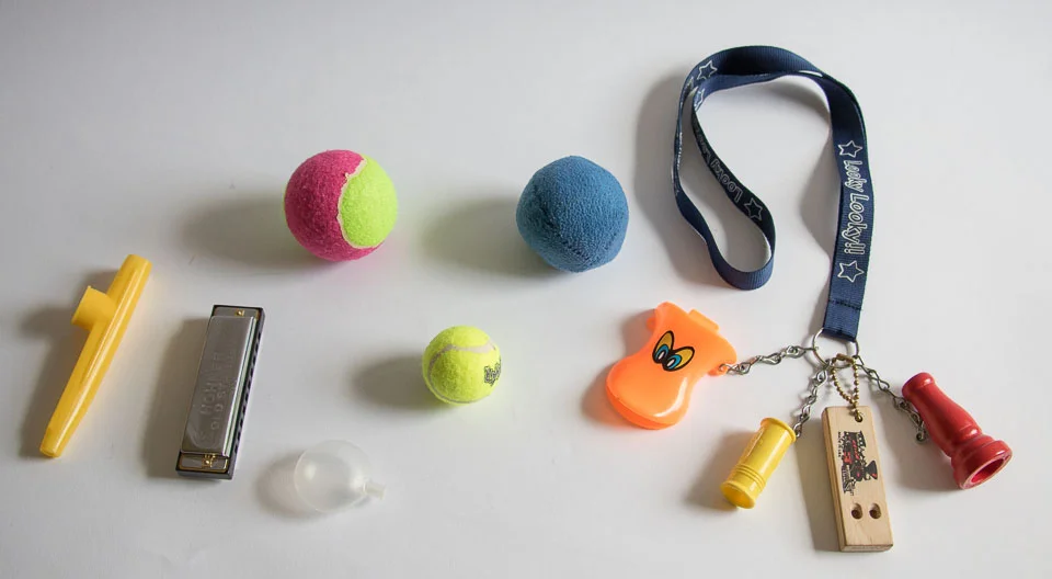 I gave a presentation at the conference on how to take better dog photos. One of my tips was if you're having trouble getting the dog to look at the camera try a noisemaker like a squeaky ball, harmonica, kazoo or train whistle.
