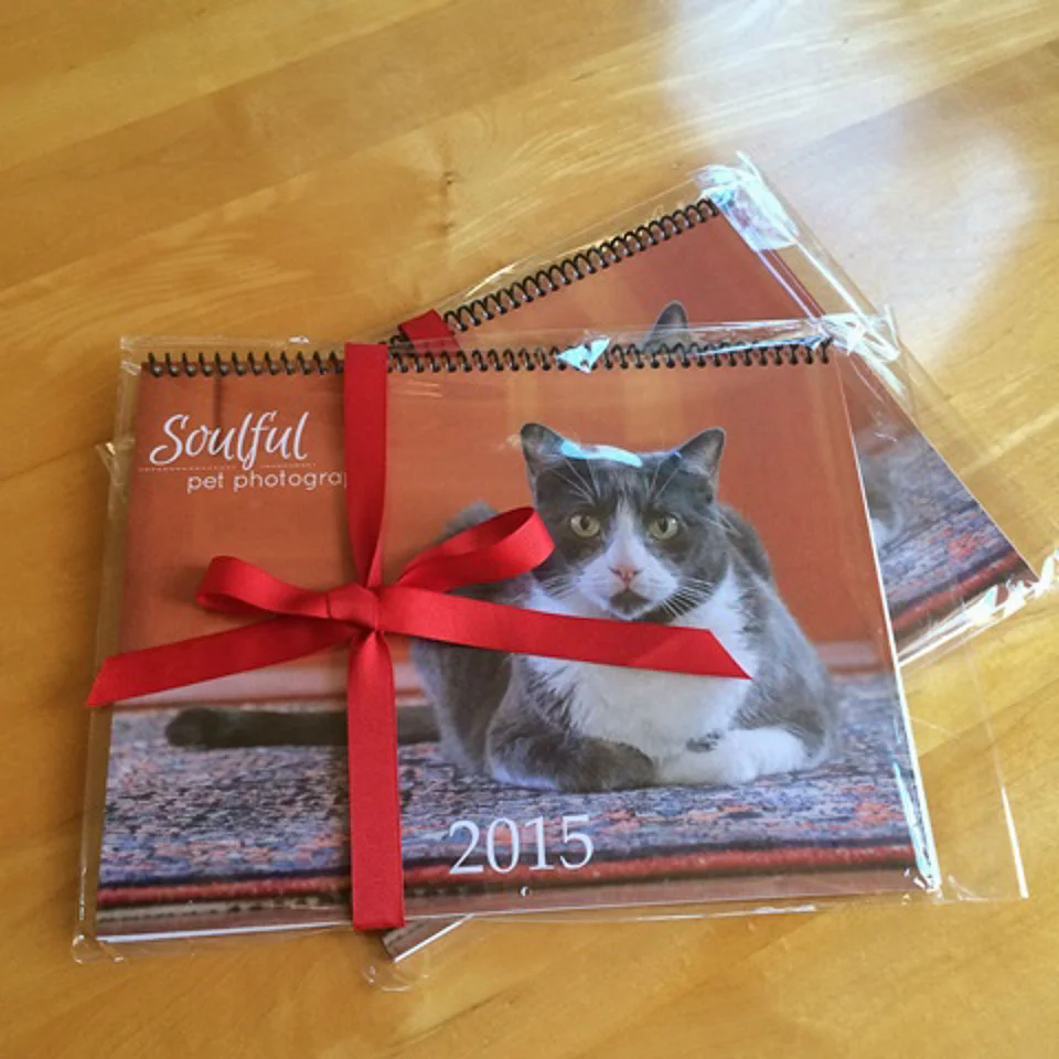 Calendar Cat: Grissom