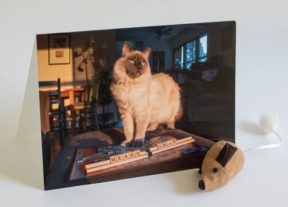 Holiday Card 2017.jpg