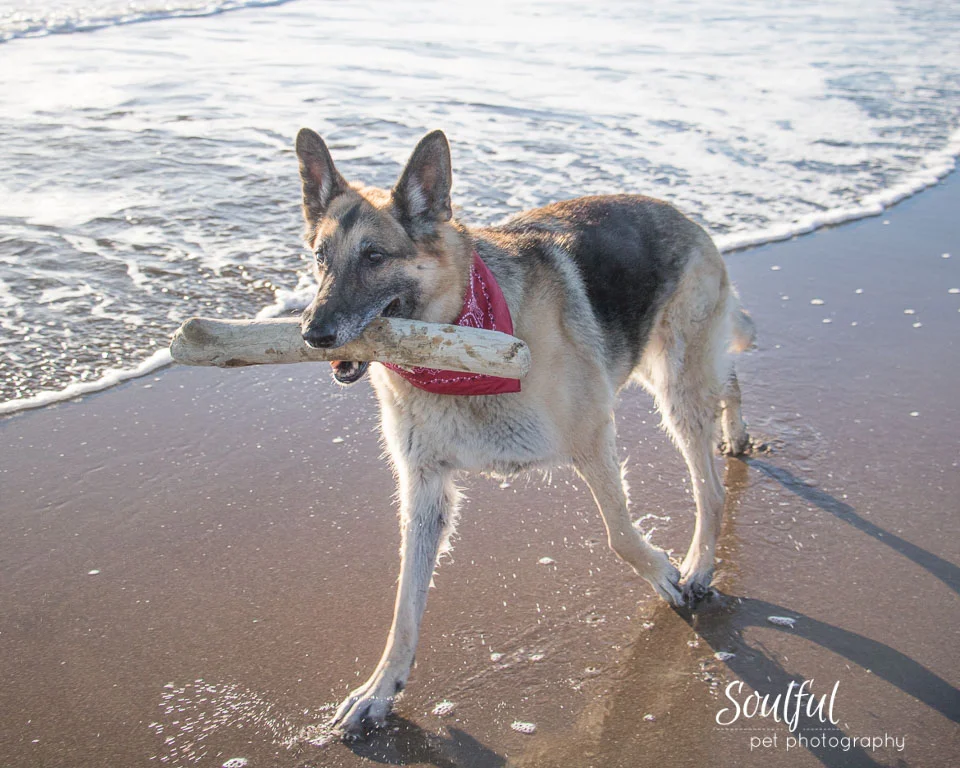 02 Iga with stick.jpg