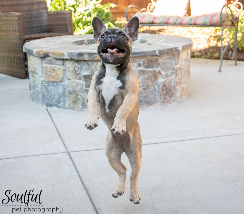 Daisy Jump.jpg