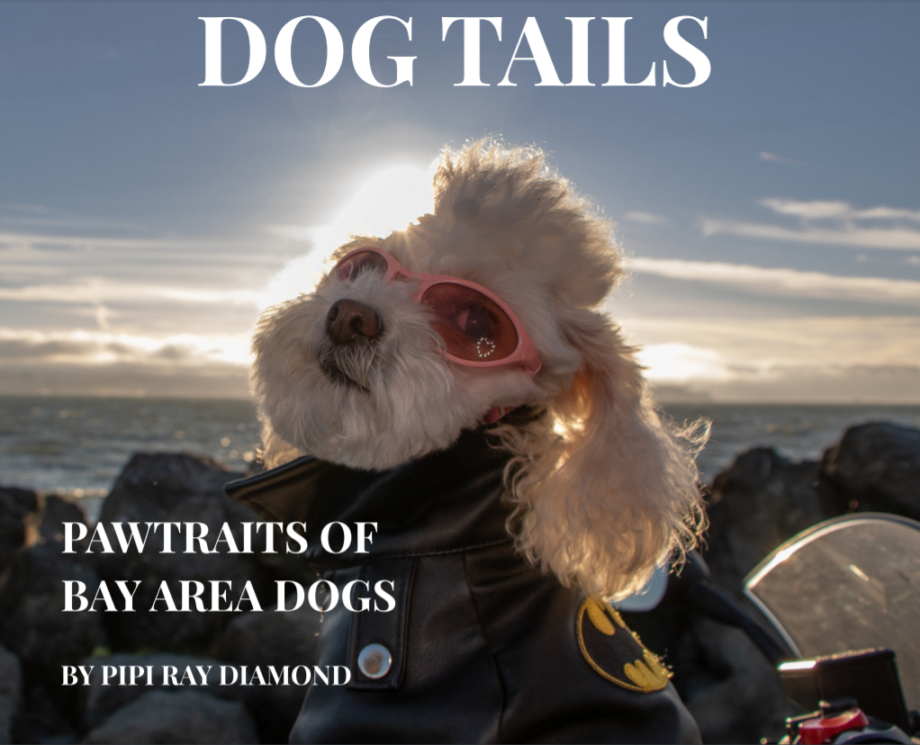 Cover Screenshot.png