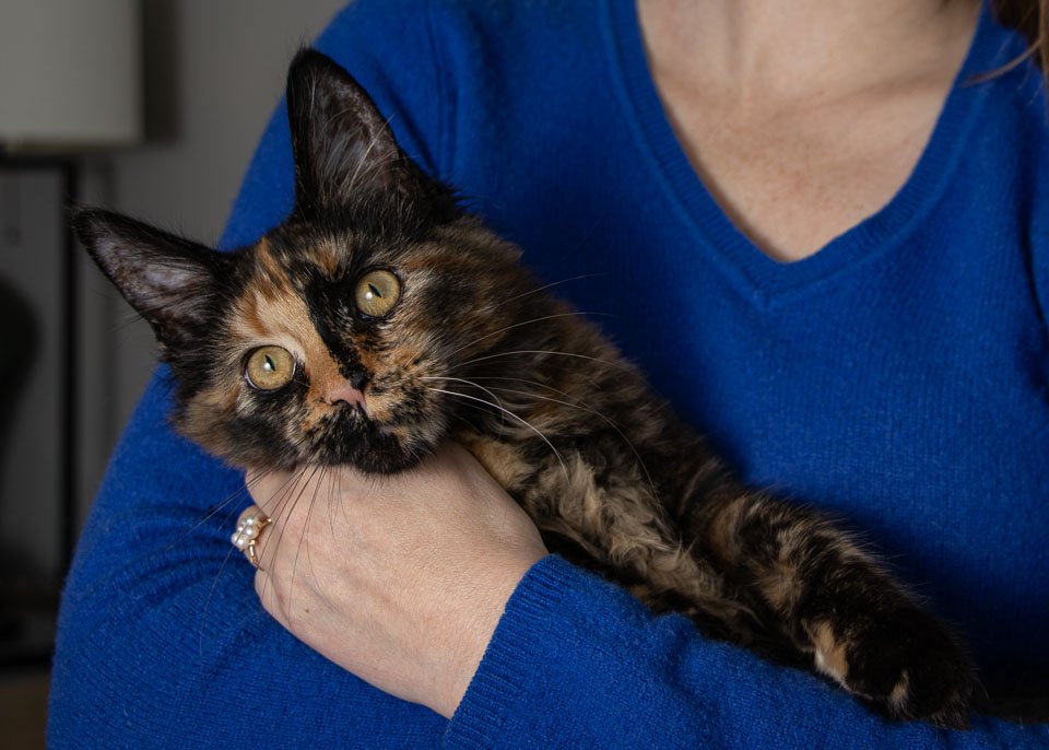 Maine Coon with Mom.jpg